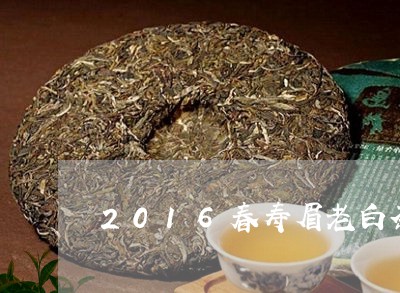 2016春寿眉老白茶30g/2023062842714