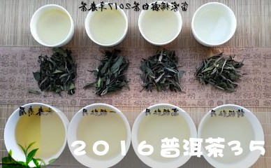 2016普洱茶357克多少钱/2023053082936