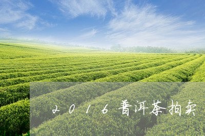 2016普洱茶拍卖/2023091440416