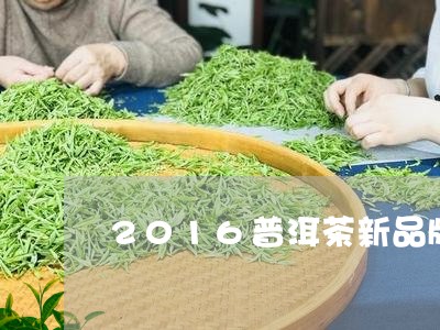 2016普洱茶新品牌/2023080207350