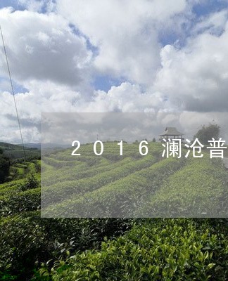 2016澜沧普洱茶/2023070937303