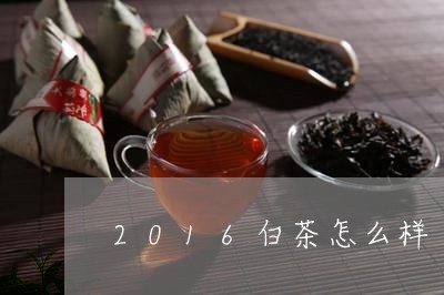 2016白茶怎么样/2023071317159