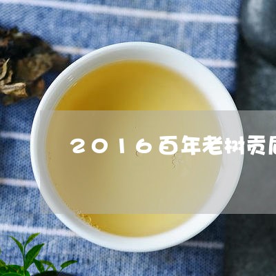 2016百年老树贡眉/2023120835238