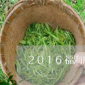 2016福海庄园班章有机茶/2023052771583