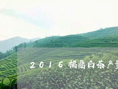 2016福鼎白茶产量/2023092093936