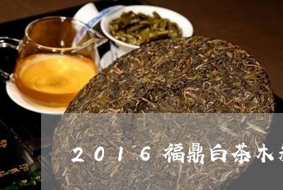 2016福鼎白茶木箱/2023062824038