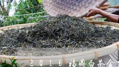 2016福鼎白茶金奖寿眉/2023111503815