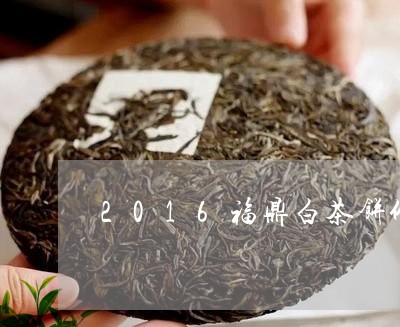 2016福鼎白茶饼价格表/2023062732627