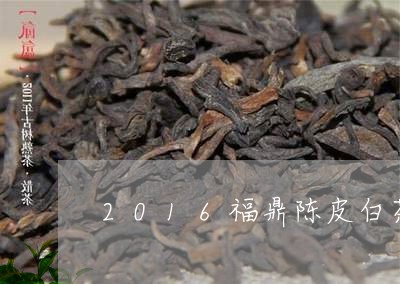 2016福鼎陈皮白茶/2023092017040