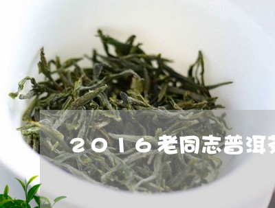 2016老同志普洱茶/2023062872917