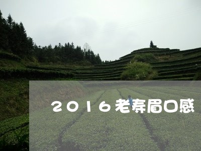 2016老寿眉口感/2023091390626