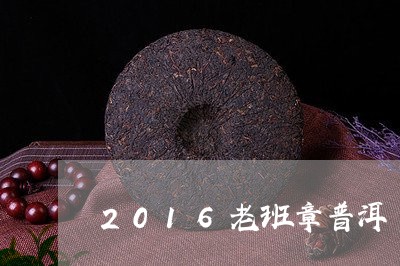 2016老班章普洱/2023042736150