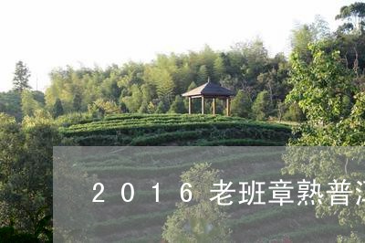 2016老班章熟普洱茶/2023081433838