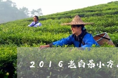 2016老白茶小方片贡眉/2023062791804