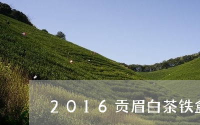 2016贡眉白茶铁盒/2023092074936