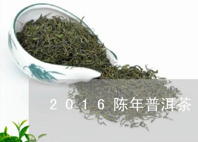 2016陈年普洱茶/2023070963512