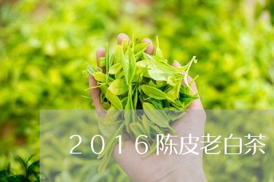 2016陈皮老白茶/2023071396269