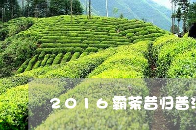 2016霸茶昔归普洱/2023092461608