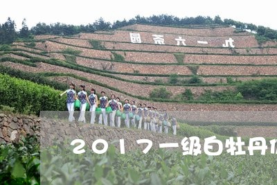 2017一级白牡丹价格/2023092351692