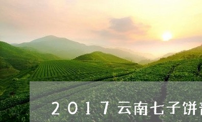 2017云南七子饼普洱茶多少钱/2023060246948