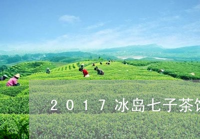 2017冰岛七子茶饼/2023092491716