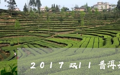 2017双11普洱茶/2023062716250