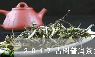 2017古树普洱茶头/2023062421545