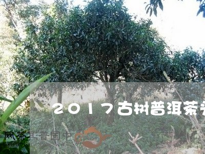 2017古树普洱茶头/2023073188593