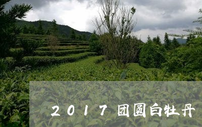 2017团圆白牡丹/2023120655169