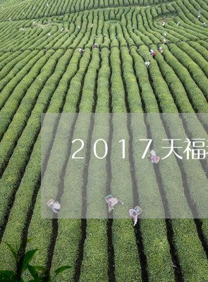 2017天福老班章/2023042873147