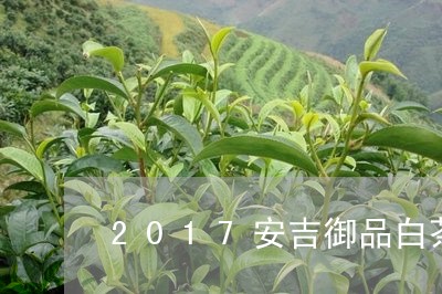 2017安吉御品白茶/2023092717050