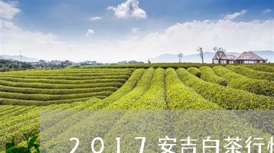 2017安吉白茶行情/2023092791047