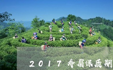 2017寿眉保质期/2023120551693