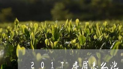 2017寿眉怎么泡/2023120461603