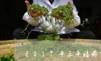 2017年三年福鼎贡眉/2023092575906