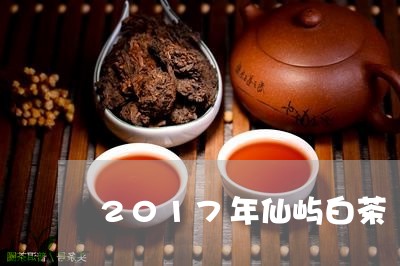 2017年仙屿白茶/2023071394039