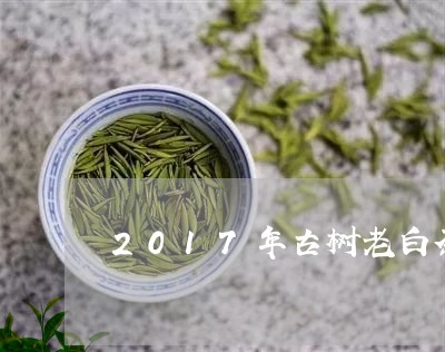 2017年古树老白茶/2023092714940