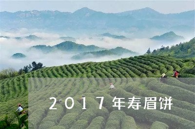 2017年寿眉饼/2023090861848