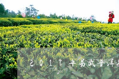 2017年易武普洱茶/2023080235037