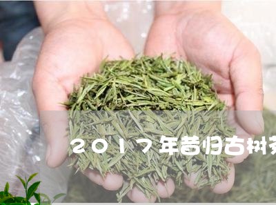 2017年昔归古树茶/2023071694057