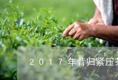 2017年昔归紧压茶/2023071651695