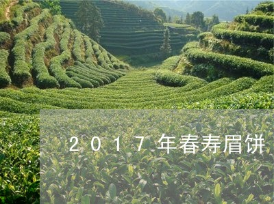 2017年春寿眉饼/2023120580481