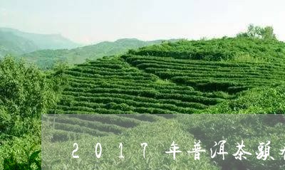 2017年普洱茶头春/2023100854805