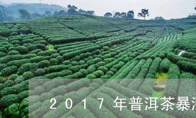 2017年普洱茶暴涨/2023062801727