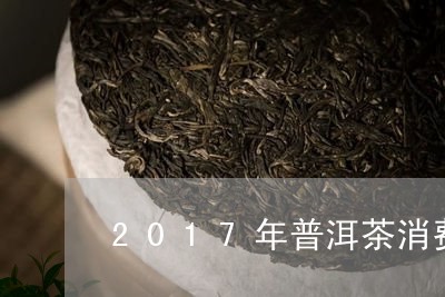 2017年普洱茶消费/2023080339280