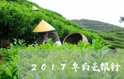 2017年白毫银针/2023120660594