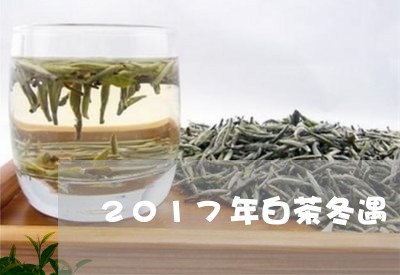 2017年白茶冬遇/2023121338360