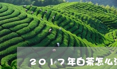 2017年白茶怎么泡/2023092792605