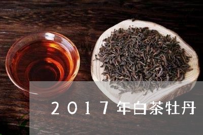 2017年白茶牡丹/2023071372814