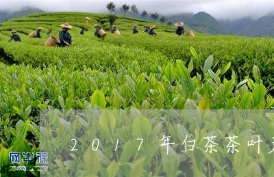 2017年白茶茶叶产量多少吨/2023111407369